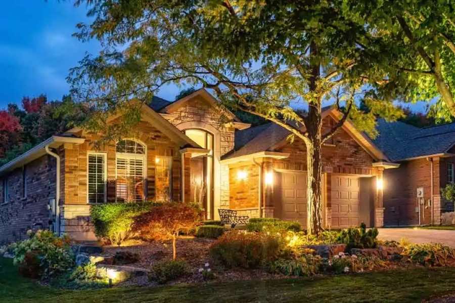 Tree Uplighting in Coppell